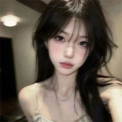 美国派:索爱天书